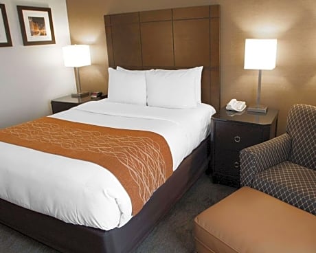 Queen Bed Non Smoking