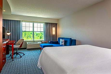1 King Bed, Sofa bed