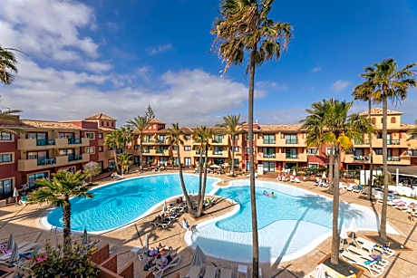 O7 Aloe Corralejo
