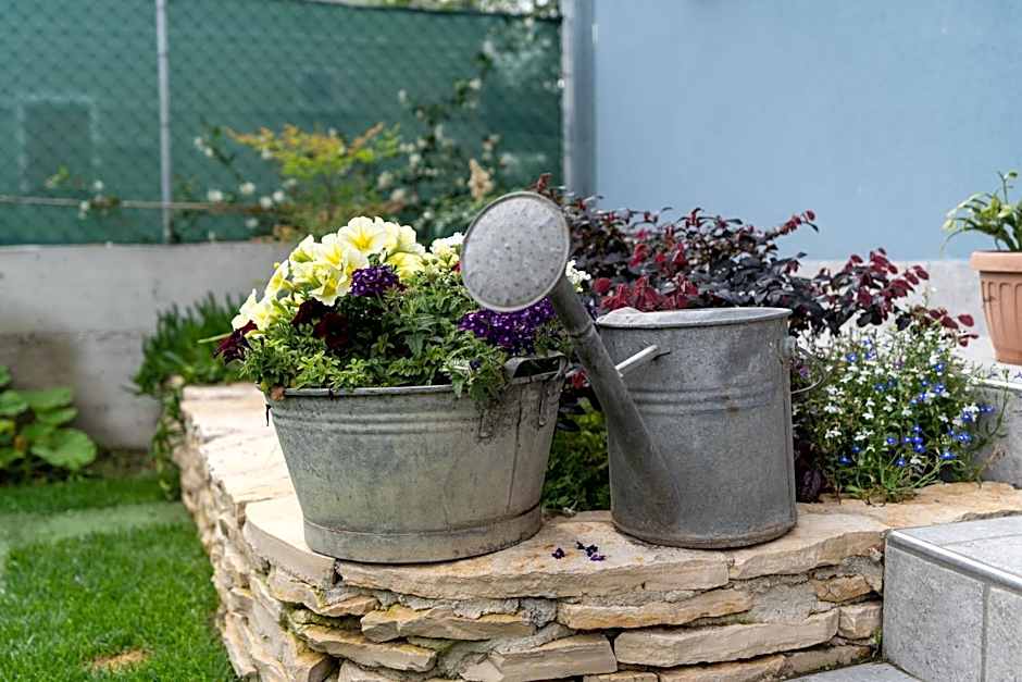 B&B Il Granaio Celeste