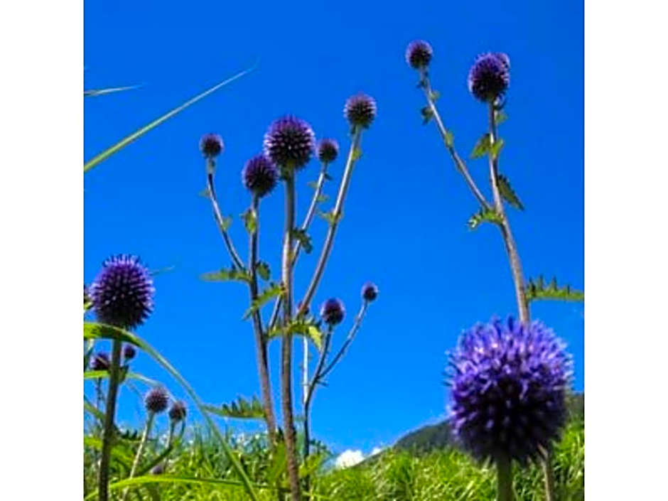 Resonate Club Shape - Vacation STAY 60135v