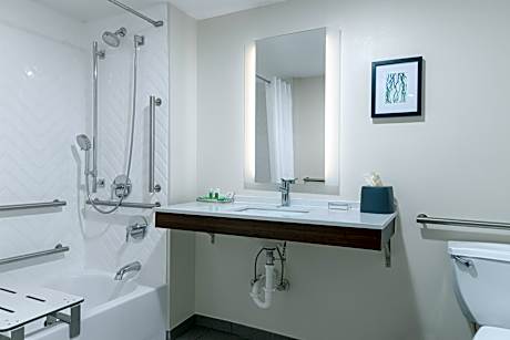 1 King Bed 1 Bdrm Suite With Living Area