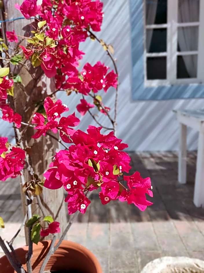 Casa Largo do Poço Guesthouse