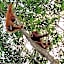 Jungle Trekking & Jungle Tour only stay here if you are and you must booking jungle trekking with us
