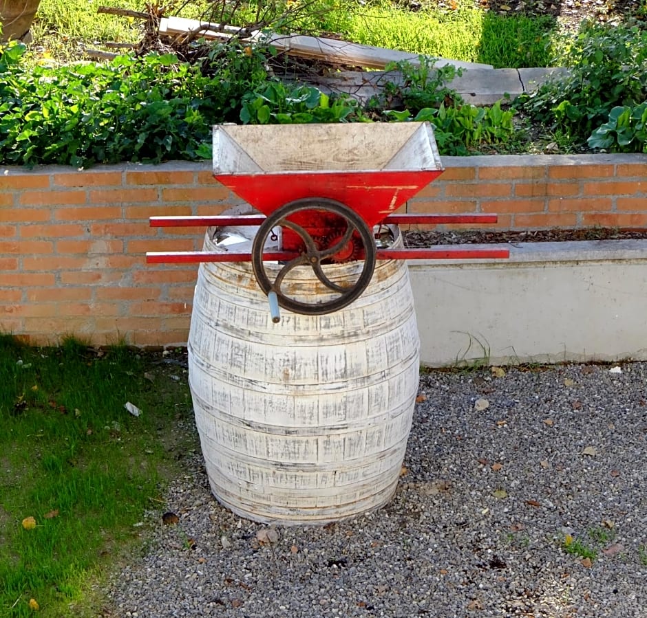 il leccio