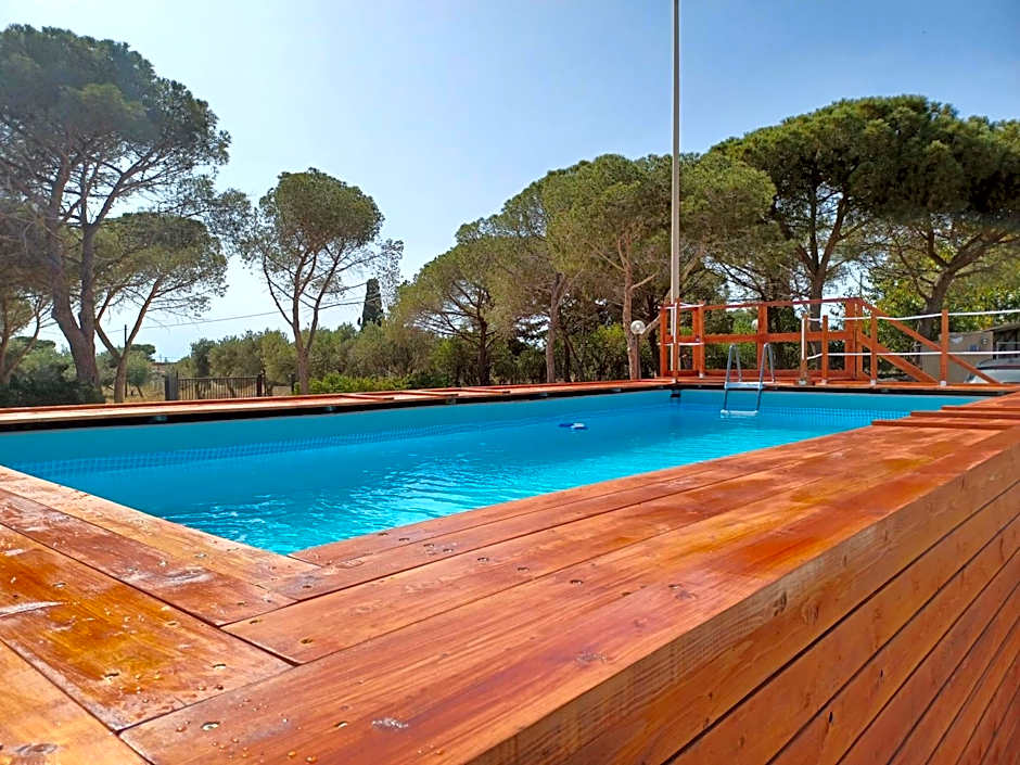 Turtle Island Apartments