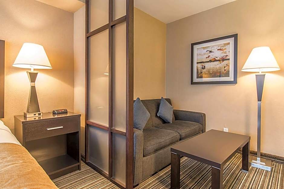 Comfort Suites Downtown