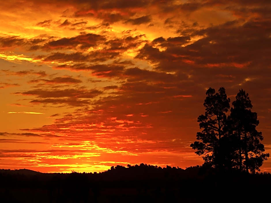 Ivorytowers Accommodation