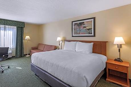 King Room with Sofa Bed - Pet-Friendly/Non-Smoking