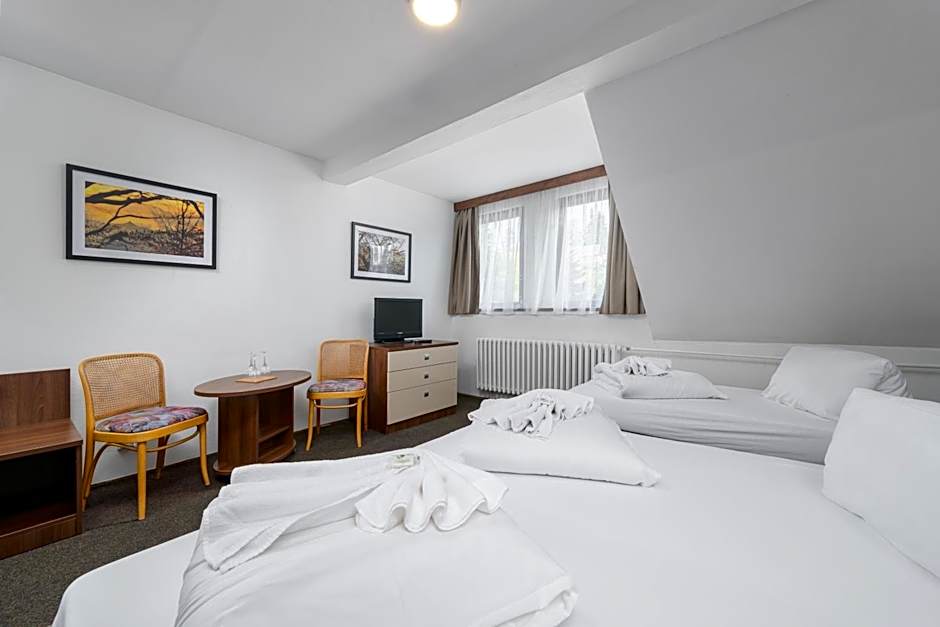 Horský Hotel Jelínek