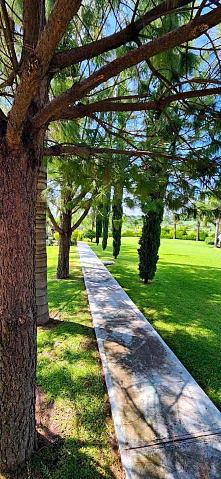 Hacienda Santa Ireme