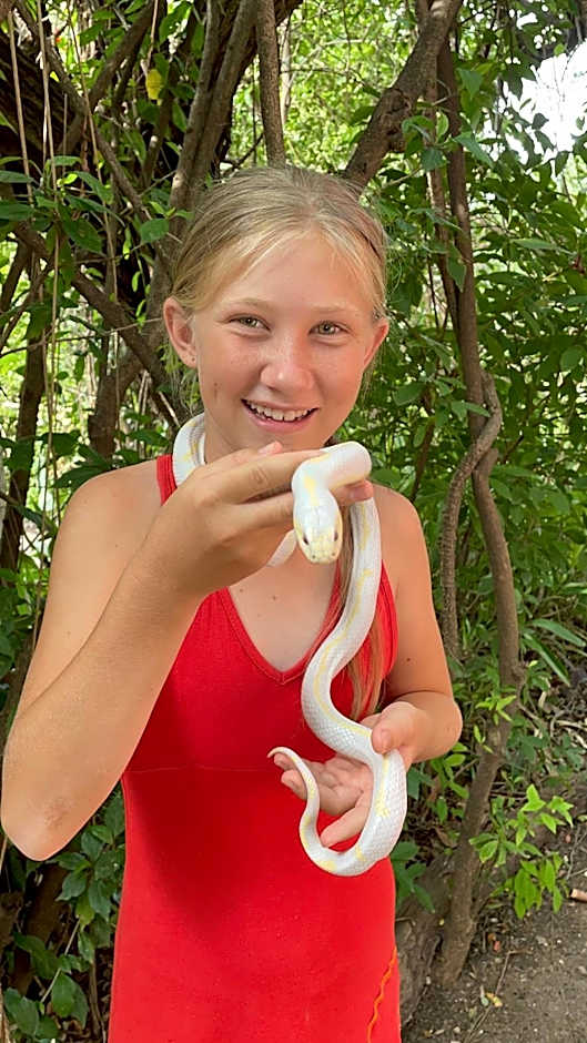 Lindiwe Safari Lodge