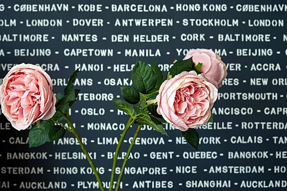 Kaikoura Boutique Hotel