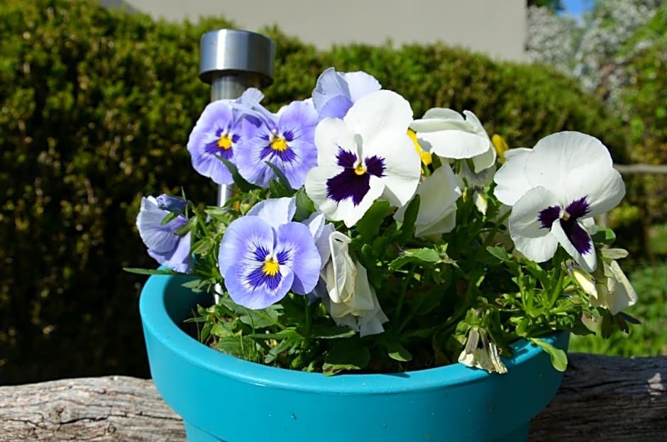 Domek całoroczny MARKO