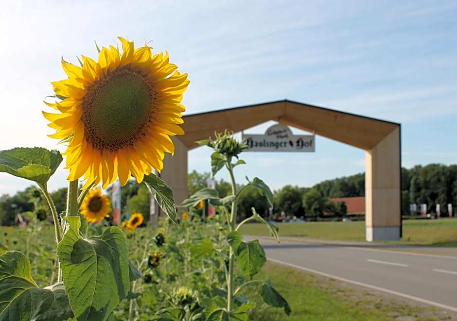 Hotel am Haslinger Hof