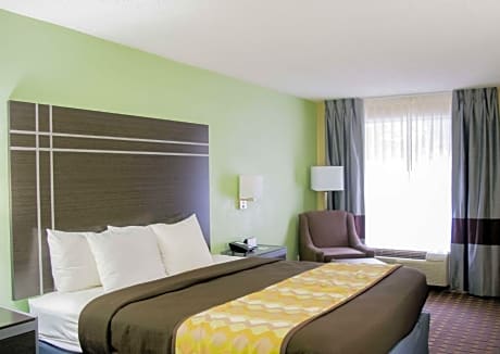 King Room - Pet Friendly/Non-Smoking