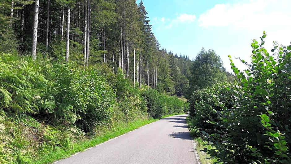 Nashira Kurpark Hotel -100 prozent barrierefrei-