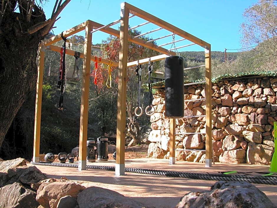 L'oliveraie du Fango