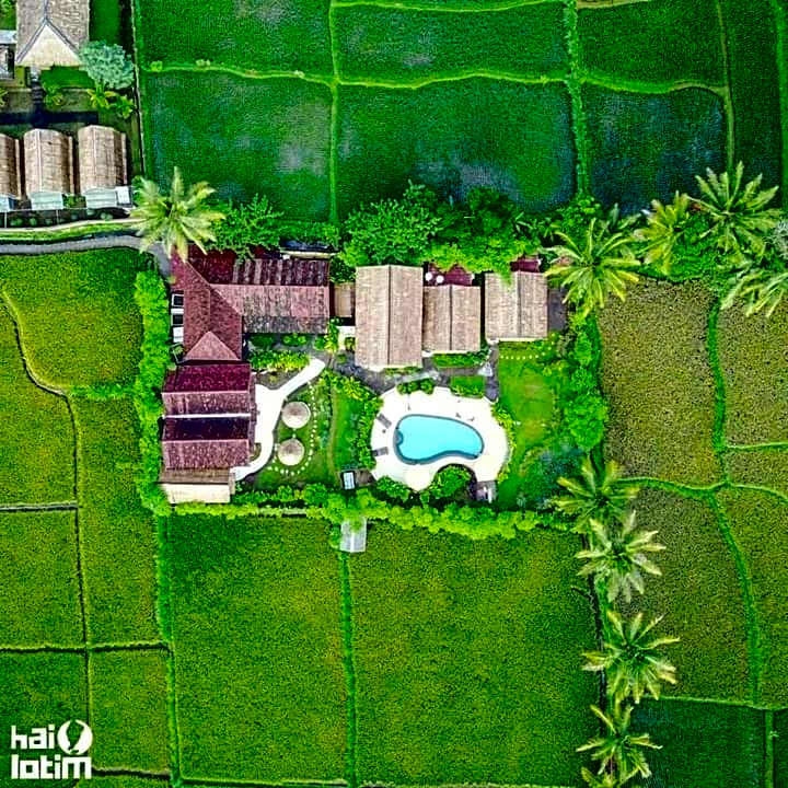 Tetebatu Flush Harmony