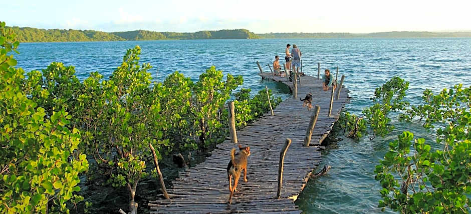 Distant Relatives Ecolodge & Backpackers