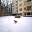 Prater Residence