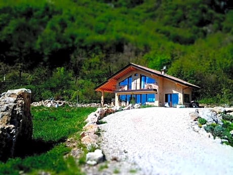 B&B Asinochevola