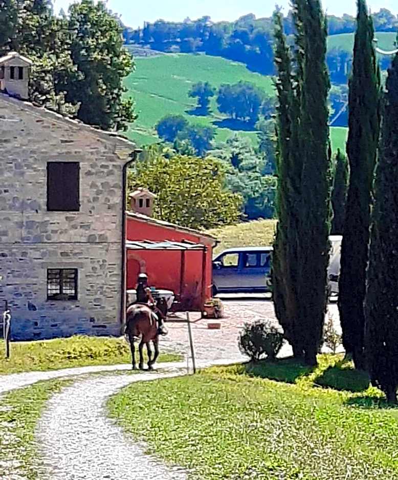 Horti del Baio