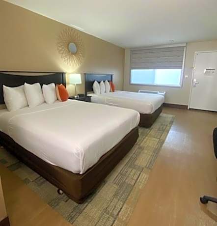 Two Queen Size Beds
