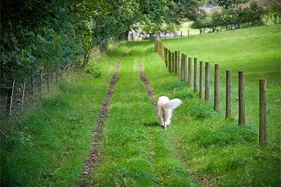 Newlands Farm Stables