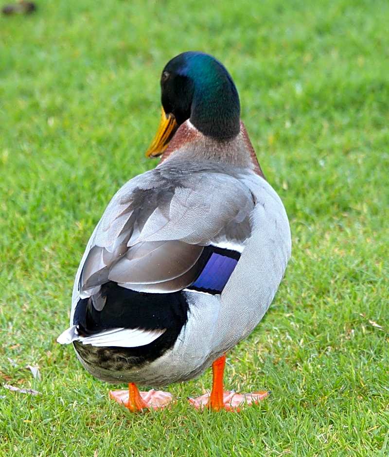 Riverview Tourist Park