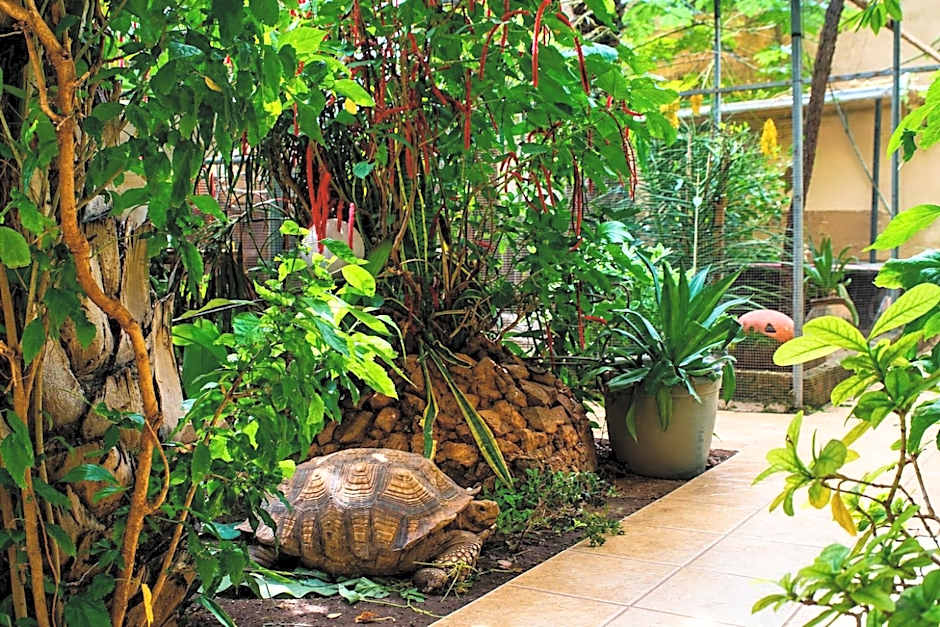 Residence Diane