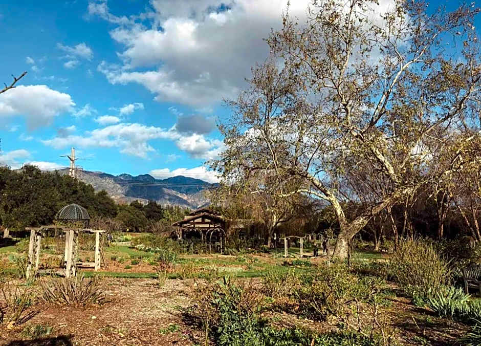 SoCal Lux on Miramar