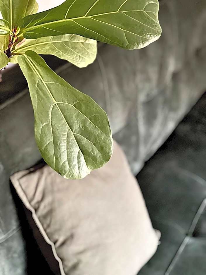 Boutique REZIDENCE BAAR