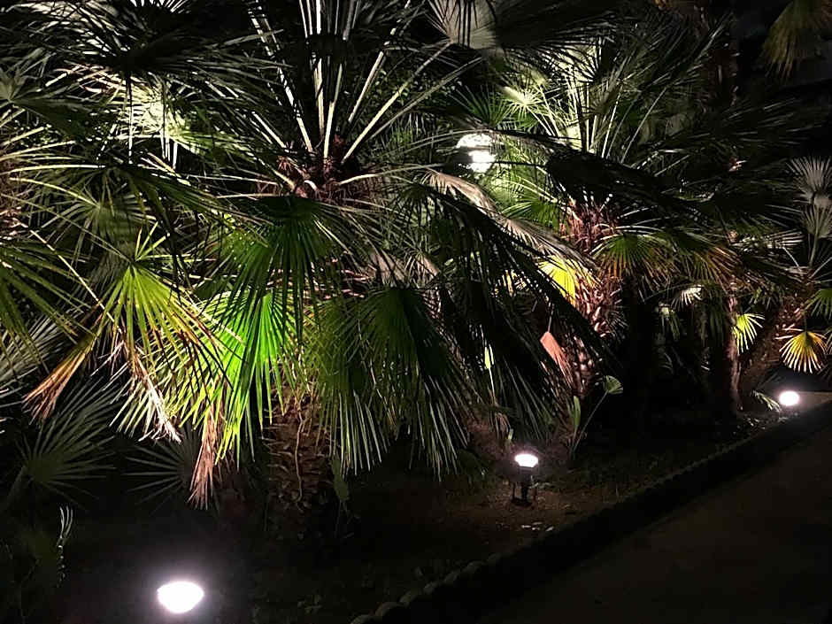 G&D Hotel Deanna Pool&Brunch