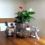 B&B Friedau