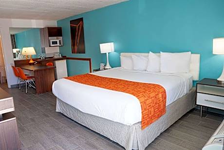 1 King Bed Non-Smoking