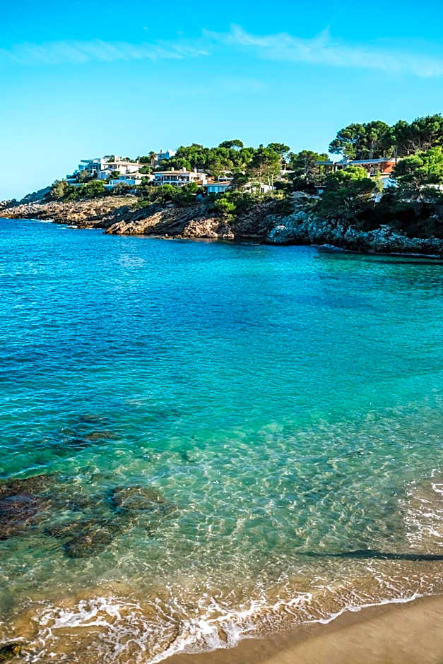 Iberostar Waves Pinos Park