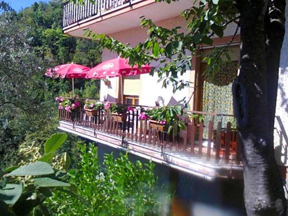 La Margherita di Teriasca