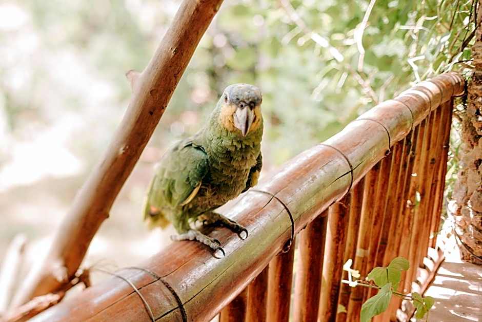 Fazenda Hotel Bem Ecológico