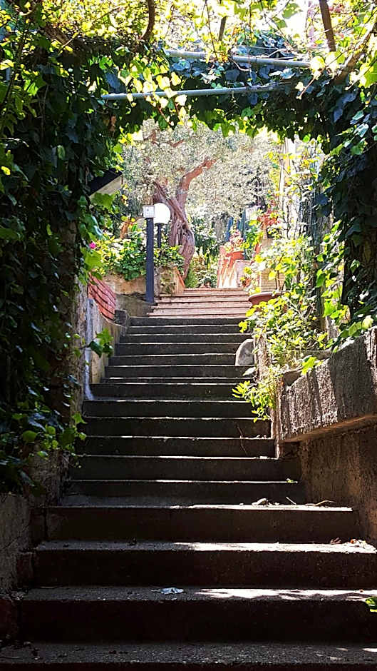 Delle Rose