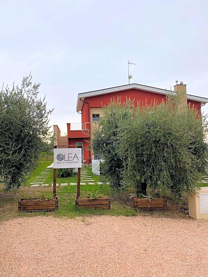 Olea b&b