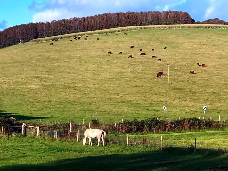 Charlton End - Goodwood Events