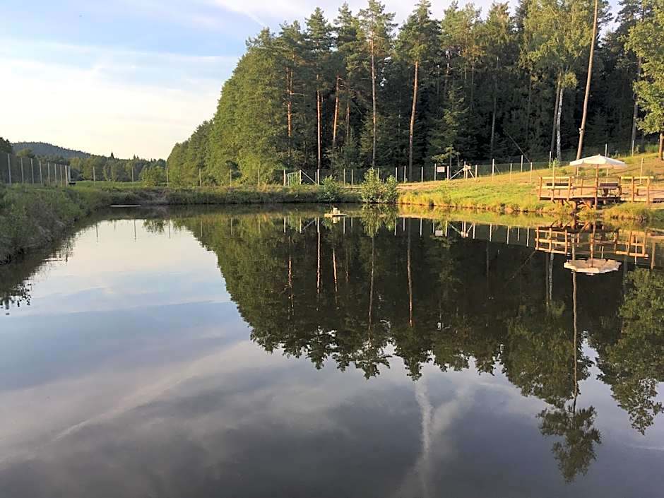 Komfortowy Leśny Dworek