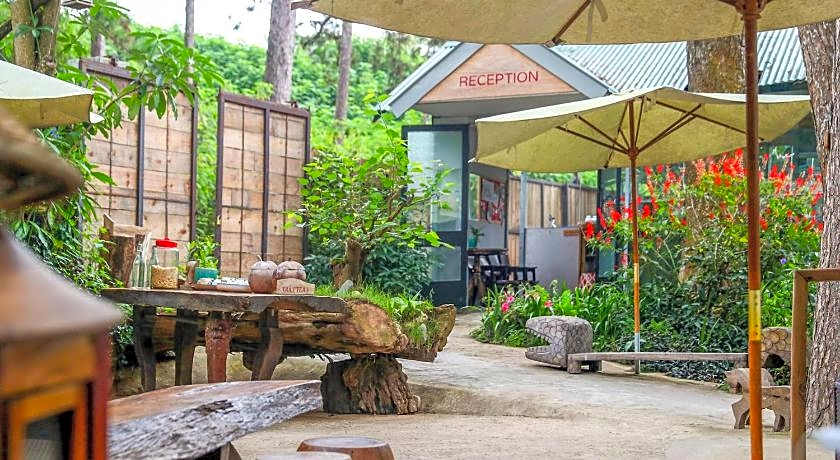 Stop and Go Boutique Hotel Since 1982