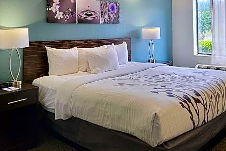 1 King Bed, Nonsmoking