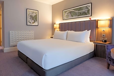 Queen Accessible Guest Room