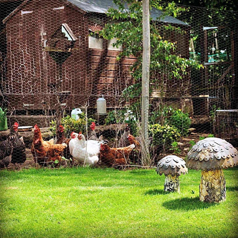 Home Farm Bed & Breakfast