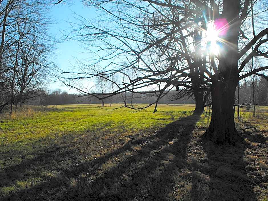 Fox House Tisá / Rájec