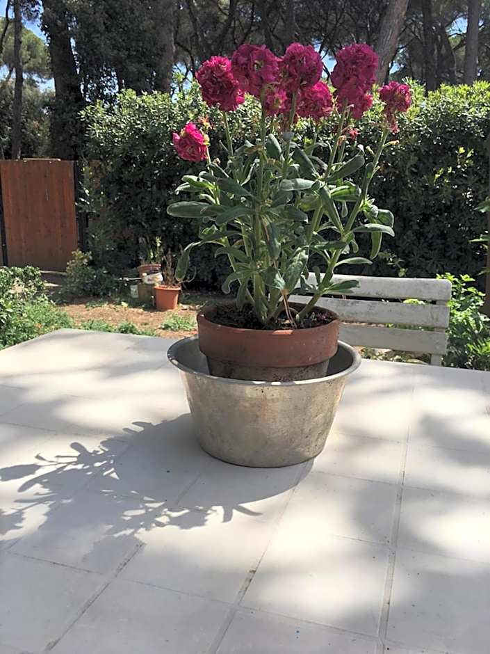 La casa di Nataly