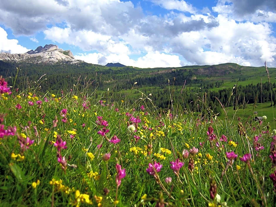 Alpine Hotel Ciasa Lara